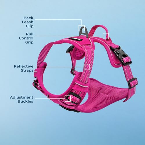 Voyager Dog Harness Dual Leash Attachment No-Pull Control Adjustable Soft but Strong Pet Harness for Medium and Large Dogs...