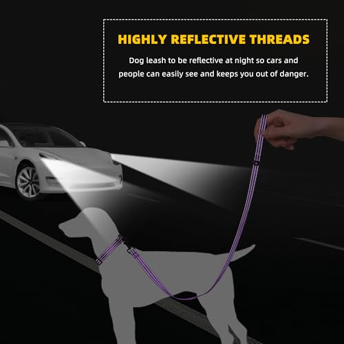 Mile High Life Night Reflective Double Adjustable Band Nylon Small Puppy Pet Dog Combo Collar Leash and Harness Set (Refle...