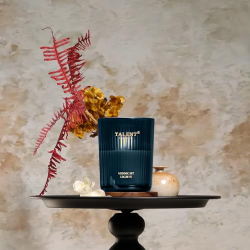 Talent Candles Jar Candles for Home Scented, Aromatherapy Candles Gifts for Women & Men, Natural Soy Candle, 8.4oz Traditi...
