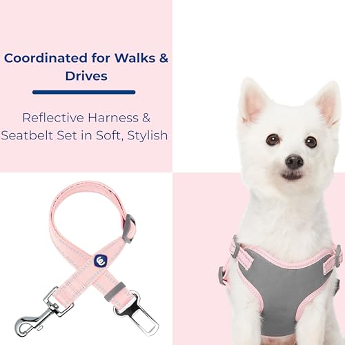 Blueberry Pet Pastel Colored Reflective Dog Harness with Seatbelt Clip – Adjustable No-Pull Pet Vest for Walking and Car S...