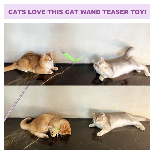 ZeyZoo Cat Toys for Indoor Cats, 11PCS Interactive Cat Toy Wand Pack, 2 Retractable Cat Wand & 7PCS Worm Teaser Refills, P...