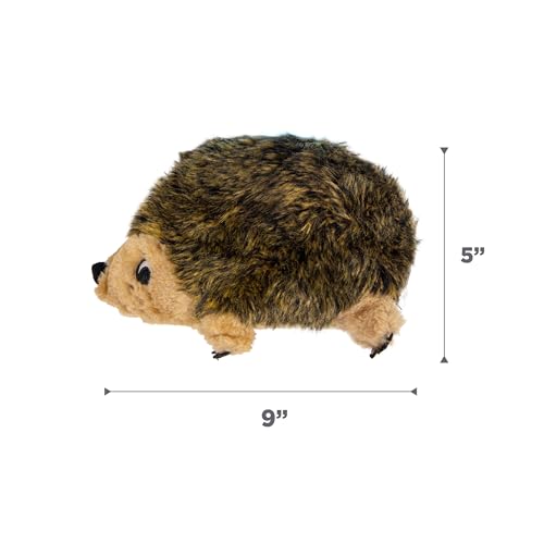 Outward Hound Hedgehogz Stuffed Dog Toy – Soft Plush Hedgehog, Grunts & Squeaks, Medium, 9" x 5" x 6.5"