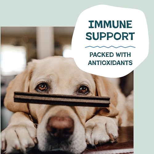 Shameless Pets Blueberry & Mint Dental Chews for Dogs, 8 Chews - Natural Dog Teeth Cleaning Treats with Fresh Breath Benef...