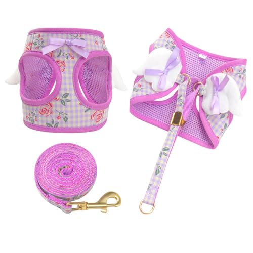 Dog Harness and Leash Set with Angle Wings,Pet Adjustable Mesh Vest Harness with Wings and Bow for Small Medium Dogs Cats_...