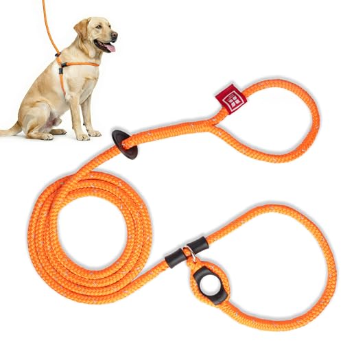 Harness Lead No Pull Dog Harness and Leash Set, Anti Pull Dog Harness for All Breeds and Sizes, One-Piece Cushioned Rope D...