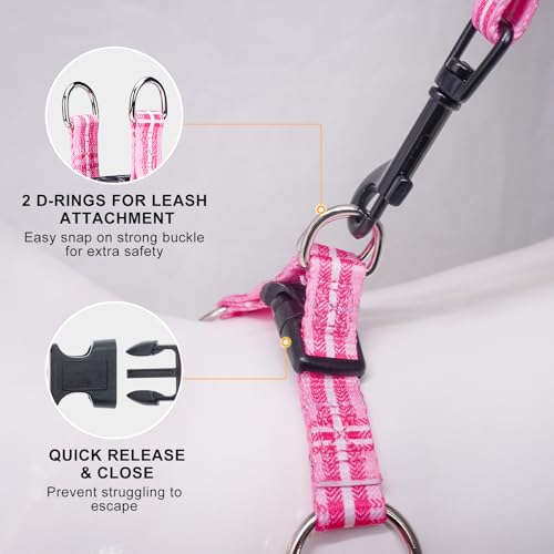 BEAUTYZOO Dog Harness Small Sized Dog Girl, No Pull Dog Harness and Leash Set,Step in Soft Light Puppy Vest, No Choke Heav...