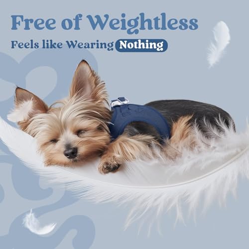 rabbitgoo Small Dog Harness, Step-in Soft Mesh Puppy Vest with Safety Buckle, Breathable Reflective Pet Harness for Small ...