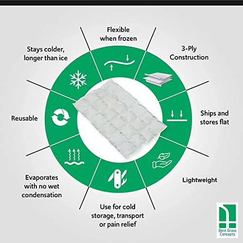 Cryosheet 10-Pack Ice Sheets for Coolers: Dry Flat Hydratable Packs for Shipping and lunches,Long Lasting Reusable Coolers...