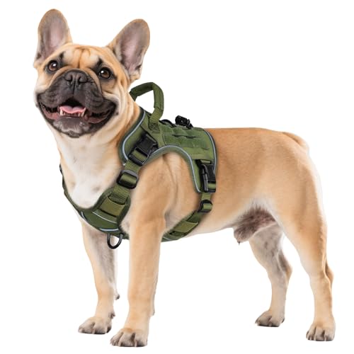 WINGOIN Green Tactical Dog Harness for Small Dogs, Heavy Duty No Pull Harness with Handle, Adjustable Reflective Military ...