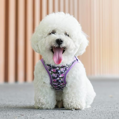 Step in Dog Harness and Leash Set, Flower Adjustable Easy Walk Puppy Harnesses, Soft Mesh Pet Vest Harness Small Size Dog ...
