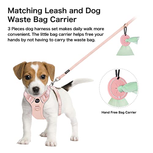 Petmolico Dog Harness for Small Dogs, Cute Harness Vest with Two Leash Clips and Soft Handle, Reflective Easy Walk Puppy V...
