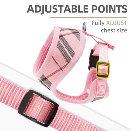 PUPTECK Soft Mesh Dog Harness and Leash Set Pet Puppy Cat Comfort Padded Vest No Pull Harnesses, Light Pink, M