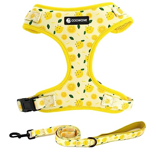 Dog Harness and Leash Set, Adjustable Dog Harness, Dog Leash, No Pull No Choke Puppy Harnesses for Walking Training for Sm...