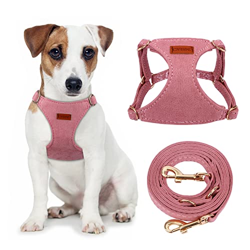 CHEDE No Pull Puppy Harness and Multifunction Dog Leash Set- 8 Colors Soft Adjustable No Choke Escape Proof Cute,Lightweig...