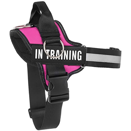 Essential Dog Harness, No Pull Pet Harness with 3 Side Rings for Leash Placement, No Choke, Reflective, Adjustable Pet Ves...
