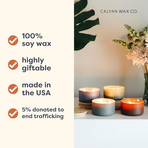 Calyan Wax Co. Evergreen & Eucalyptu 3 Wick Scented Candle - 30 Hour Burn - Luxury 3 Wick Soy Candles - Clean Soy Wax Cand...