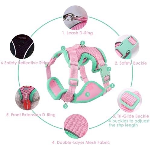 Cat Harness and Leash Set for Walking – Escape-Proof Reflective Vest for Cats and Small Dogs, Adjustable Soft Air Mesh wit...