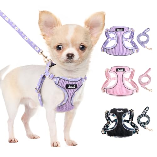 Lukovee No Pull Puppy Harness and Leash Set - Soft Lightweight Escape Proof Puppy Vest Harness, Breathable Adjustable Pet ...