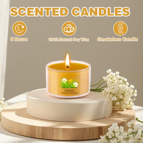 Aromatherapy Scented Candles 20 Pack - Small Candle Gift Set for Women with 10 Scents, 35g Long-Lasting Soy Wax Candles fo...