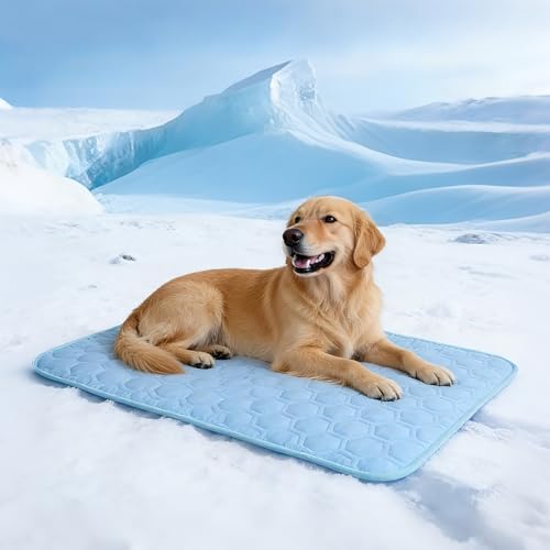 dgdgbaby Cooling Mat for Dogs Thicken Pad for Cats,Rabbit&Medium,Large Dogs Internal Arc-Chill Cool Fiber Dog Cooling Mat ...
