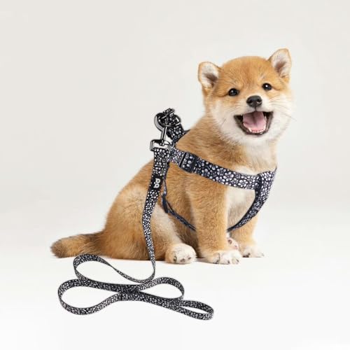 QQPETS Dog Harness Leash Set Adjustable Heavy Duty No Pull Halter Harnesses for Small Medium Large Breed Dogs Back Clip An...