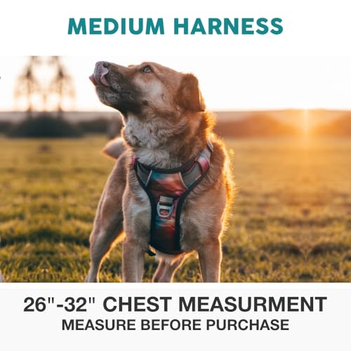 Embark Adventure No Pull Dog Harness, Reflective Trim No Pull Harness for Medium Sized Dog - Military Grade Nylon, Front C...