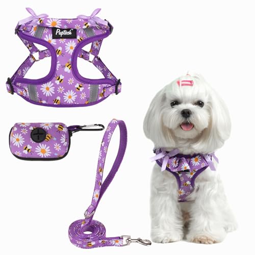 PUPTECK Dog Harness and Leash Set Small Sized, Step in No Pull Adjustable Puppy Cat Harness Reflective Pet Vest