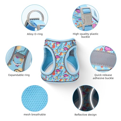 Step in Dog Harness and Leash Set, Flower Adjustable Easy Walk Puppy Harnesses, Soft Mesh Pet Vest Harness Small Size Dog ...