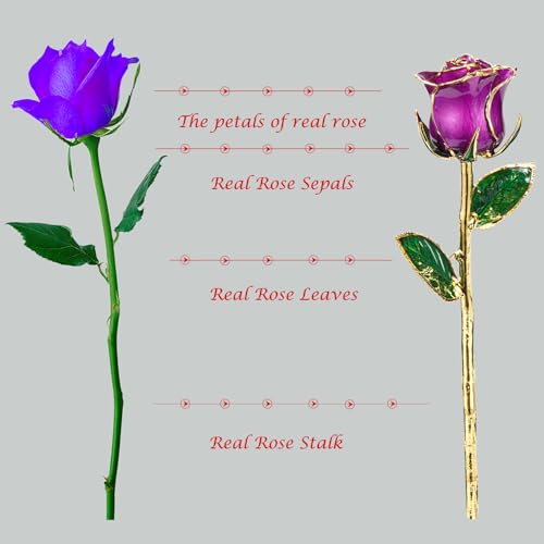 MAXSPT Gold Rose, 24K Gold Dipped Real Rose is Attractive Luster and Natural Shape, Best Gifts for Anniversary Wedding Val...