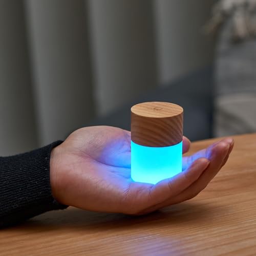 Gingko Lemelia Mini Light – White Ash | Portable LED Mood Lamp with Touch Control, 7 Color Modes, Rechargeable Battery