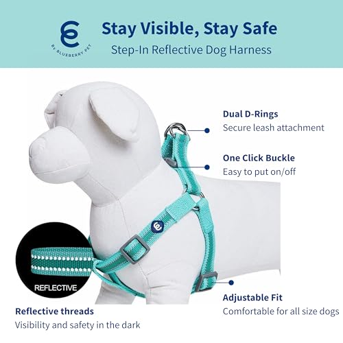 Blueberry Pet Essentials Step-in Reflective Back to Basics Dog Harness, Minty Green, Chest Girth 20" - 26", Medium, Adjust...