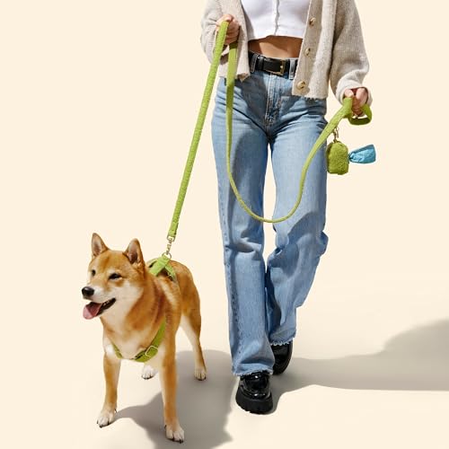 THE LICKER Store WLK1001B-4SET Teddy Small Bouclé Adjustable H Harness and Leash Walk Set with Poop Bag Pouch, Citron