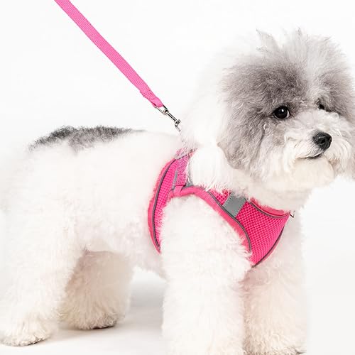 Aecllcea Dog Harness for Small Medium Sized Dog, Puppy Harness and Leash Set Training, Dog Harness and Leash Set, Dog Vest...