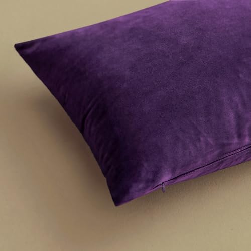 MIULEE Velvet Throw Pillow Covers 18x18 Inch, Pack of 2 - Eggplant Purple, Super Soft Decorative Square Cushion Cases Mode...