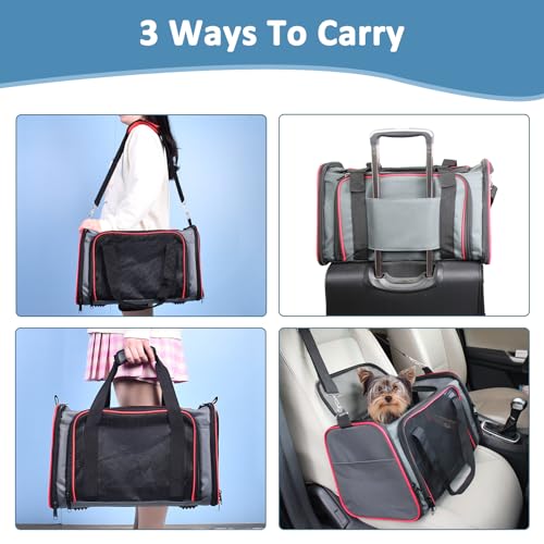 GOOPAWS Soft-Sided Kennel Pet Carrier for Small Dogs, Cats, Puppy, Airline Approved Cat Carriers Dog Carrier Collapsible, ...