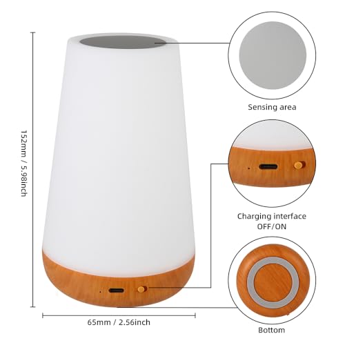 Luxxflour Night Light Lamp, Dimmable Touch Lamp for Bedroom, Portable Table Bedside Lamp, 5 Brightness & 13 RGB Colors, Ni...