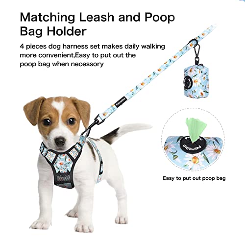 Petmolico No Pull Dog Harness Set with Leash Attachment Easy Control Handle Reflective Harness Vest Small Breed, Puppy Ves...