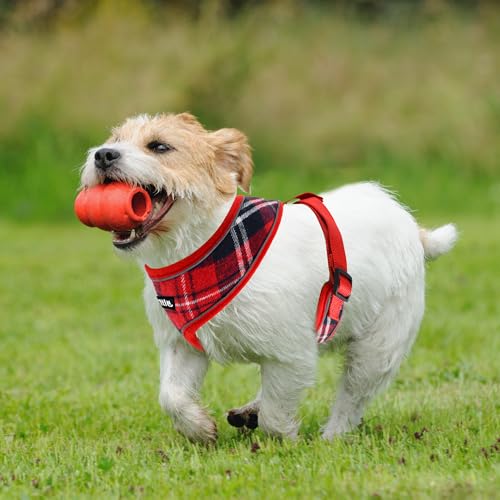 AIITLE Small Dog Harness, Triple-Layer Breathable Plaid Mesh, Adjustable Fit & Reflective Design, Choke-Free Over-The-Head...
