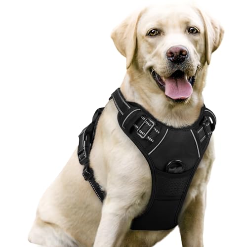 rabbitgoo Dog Harness No Pull with 2 Leash Clips, Adjustable Soft Padded, Reflective Oxford No Choke Pet Vest with Easy Co...