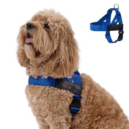Dog Friendly Co. Dog Harness | Chafe Resistant Webbing, Adjustable Neck & Chest, and Heavy Duty D-Ring | Sturdy, Comfortab...