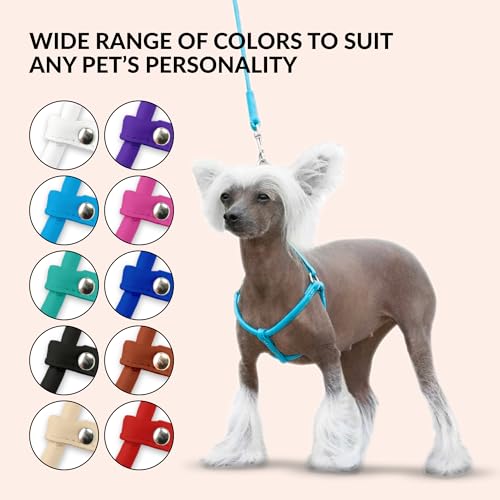 CollarDirect Rolled Leather Dog Harness Small Puppy Step-in Leash Set for Walking Pink Red White Blue Green Black Purple B...