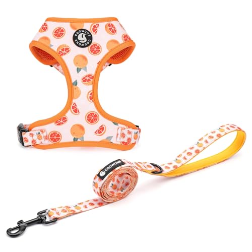 Dog Cat Harness and Leash Set, Puppia Soft Mesh Padded and Adjustable Puppy Vest Cute Dog Clothes Escape Proof Easy Walk P...