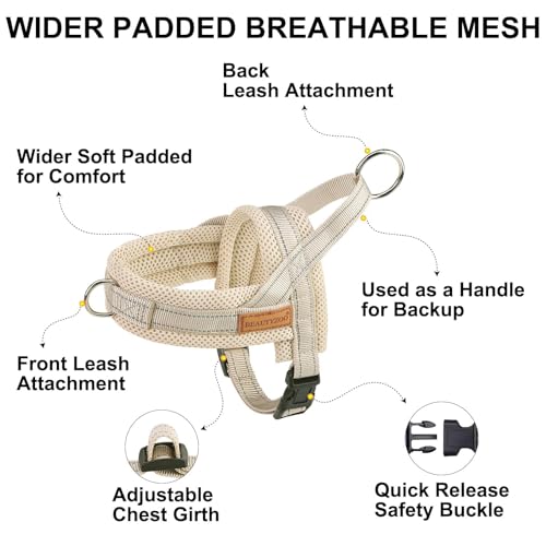 BEAUTYZOO Dog Harness No Pull, Quick Fit Dog Harness and Leash Set, Escape Proof Vest Harness with Soft Handle, Reflective...
