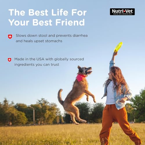 Nutri-Vet Anti-Diarrhea Liquid for Dogs and Puppies, Puppy Supplements for Digestive Health, Dog Essentials for Gut Suppor...
