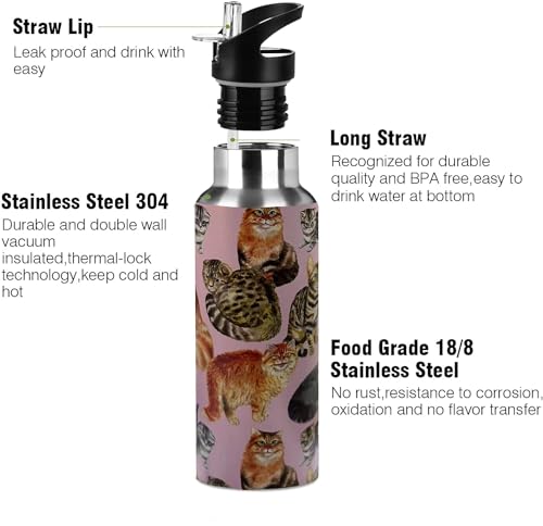 Xinvast Cat Water Bottle Adult Kids With Straw Lid Insulated Stainless Steel Travel Mugs for Sport Gym Outdoor 20oz