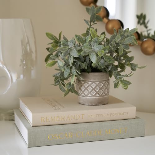 ZICOTO Set of 2 Beautiful Decorative Linen Books - Aesthetic Faux/Fake Books for Modern Home Decoration on Coffee Table, B...