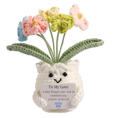 YOOJEE Forget-Me-Not Crochet Gifts for Him Her Boyfriend Girlfriend Birthday to My Love Handmade Valentines Day Flower Pla...