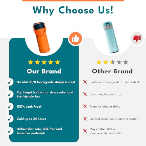 Elemental Insulated Kids Water Bottle, Stainless Steel Water Bottle with Straw Lid & Pop-It Handle, Leak-Proof Water Bottl...