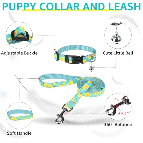 SCENEREAL Small Dog Harness and Leash Collar Set, Step in Soft Light Puppy Vest, Breathable Pet Harness for Small Sized Do...