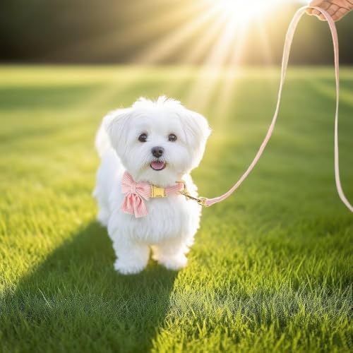 Dog Collar and Leash Set with Bowtie, Soft & Cute Puppy Collar, Cotton Puppy Collar with Adjustable Metal Buckle for Smal...